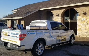 Pest Control Georgetown TX