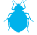 Bed Bug Treatment