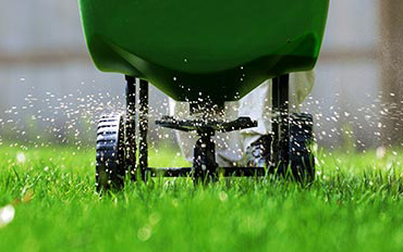 Lawn Care Pflugerville TX