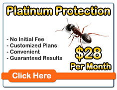 Roach Treatment Temple TX